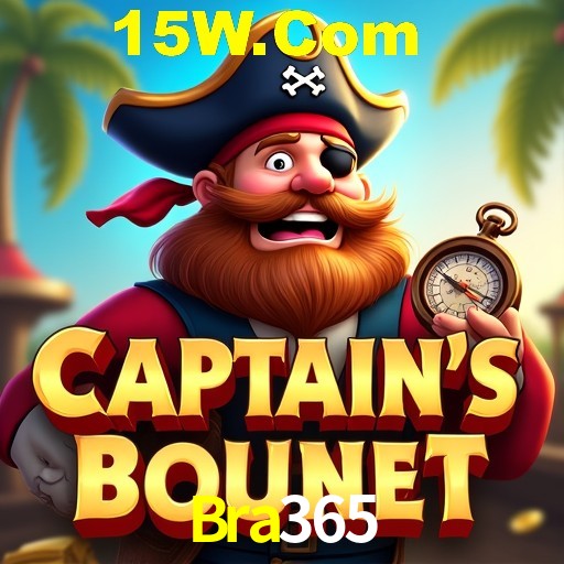 Security Systems Bra365